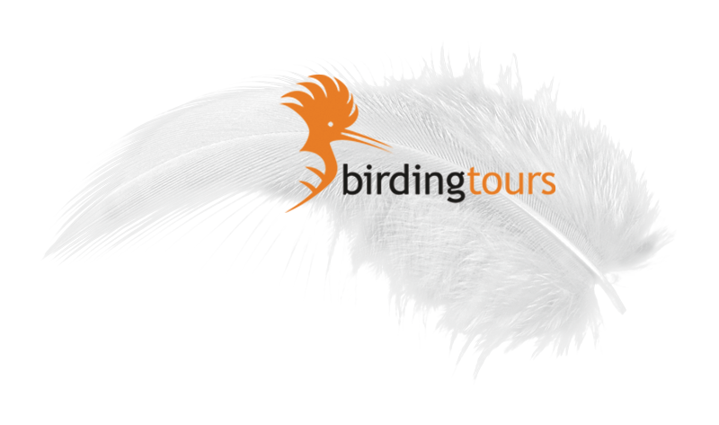 birdingstours